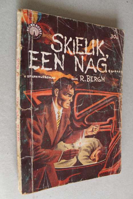 Skielik een nag - Bergh