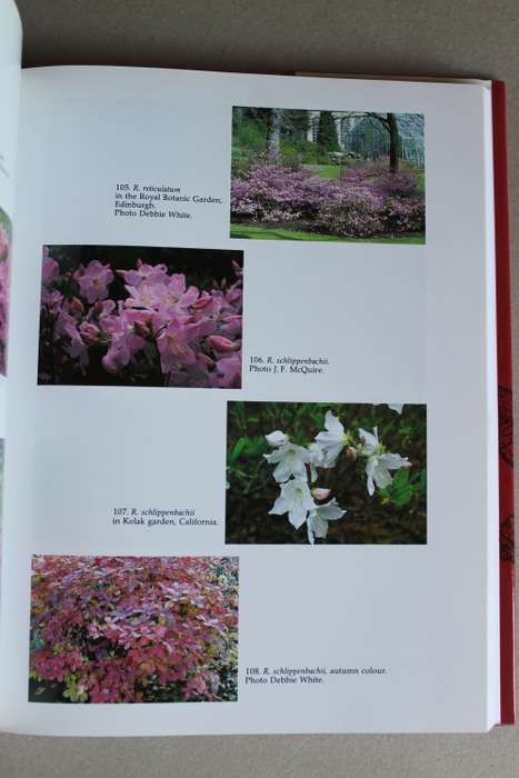 The Rhododendron Species. Volume IV -Azaleas