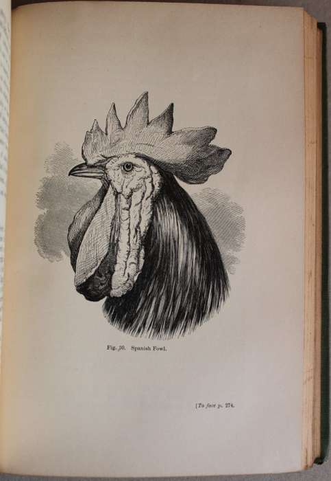 Charles Darwin -The Variation of Animals & Plants under Domestication