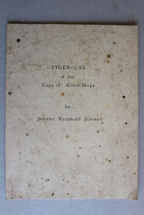 Tyger-cat of the Cape of Good Hope - (Johann Reinhold Forster 1729-98)
