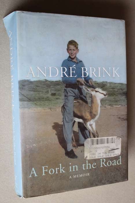 A Fork in the Road - Andre Brink