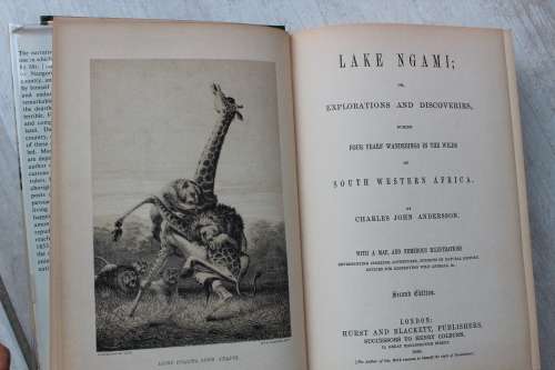 LAKE NGAMI - Charles John Andersson