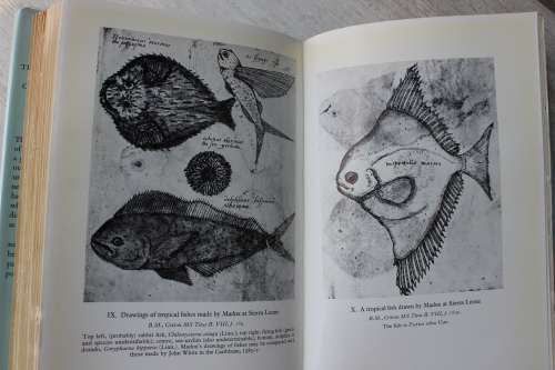The Troublesome Voyages of Captain Edward Fenton 1582-83   - Taylor