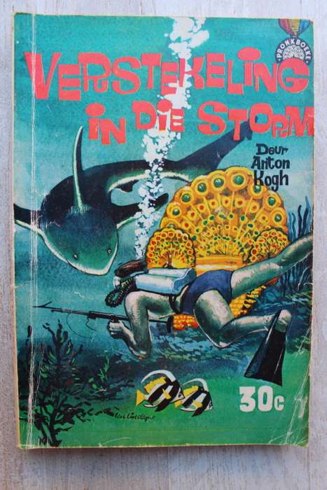 Verstekeling in die storm - Anton Kogh            Pronkboek