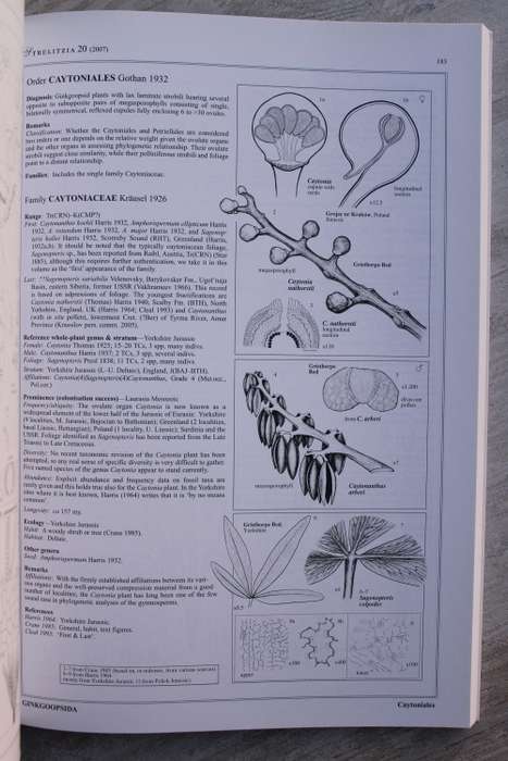 Brief history of gymnosperms: classification, biodiversity, phytogeography and ecology - Anderson