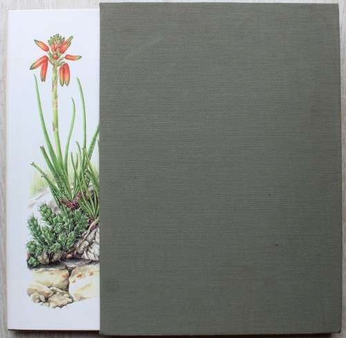 GRASS ALOES IN THE SOUTH AFRICAN VELD - Charles Craib