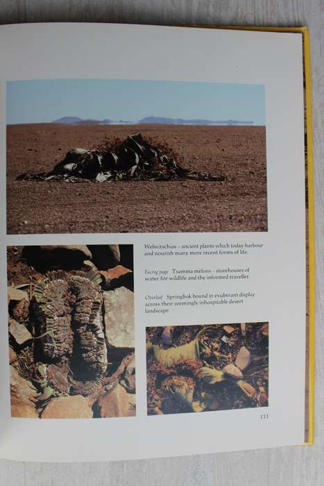 Kaokoveld The Last Wilderness by A.Hall-Martin-C. Walker and J. du P. Bothma