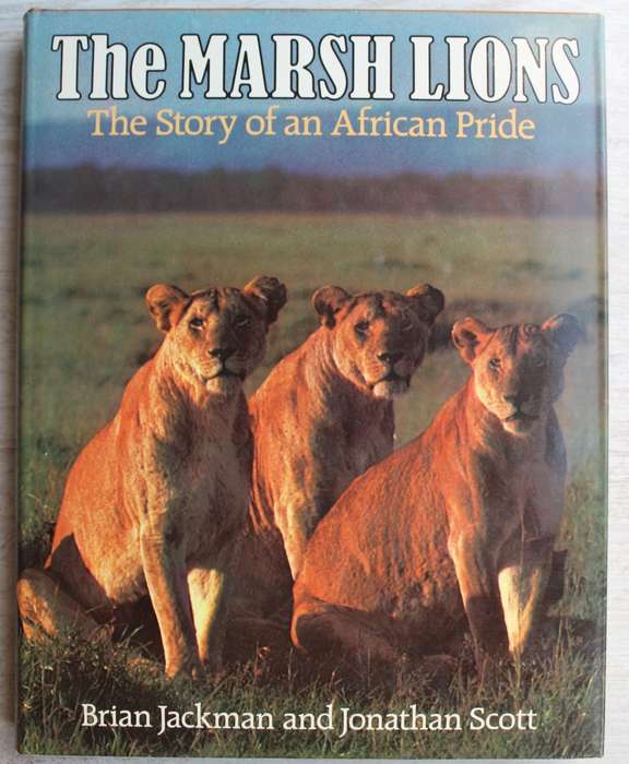 THE MARSH LIONS- THE STORY OF AN AFRICAN PRIDE- BRIAN JACKMAN & JONATHAN SCOTT