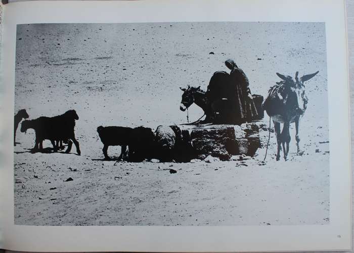 Images of my world - John Brett Cohen