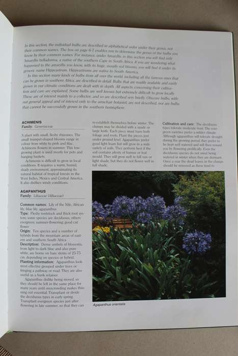 Growing Bulbs in Southern Africa - Floris Barnhoorn
