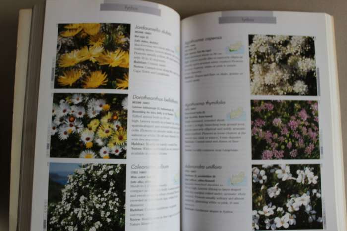 Photographic Guide to the Wildflowers of South Africa - Manning, John
