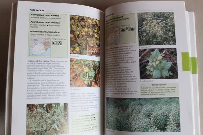 Problem Plants of South Africa - Clive Bromilow
