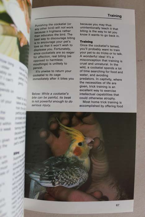 Cockatiels a complete introduction - Radford
