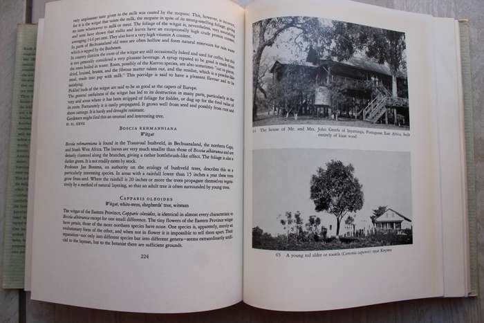 Trees Of Southern Africa - Palmer & Pitman