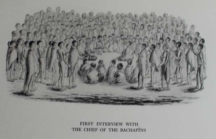 SOUTH AFRICAN DRAWINGS OF WILLIAM J. BURCHELL