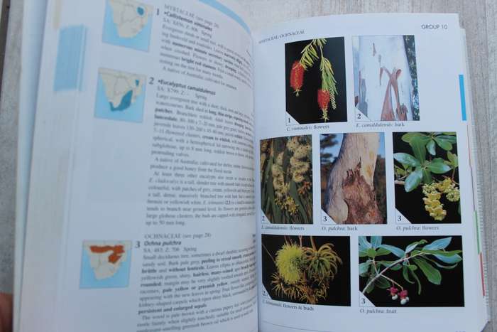 Field guide to Treess of South Africa - Van Wyk