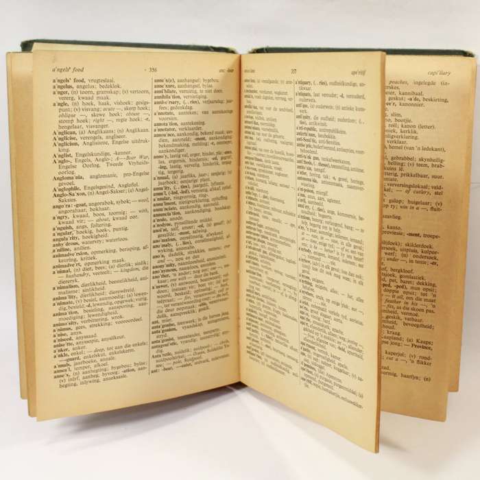 Skoolwoordeboek School Dictionary - Kritzinger Steyn