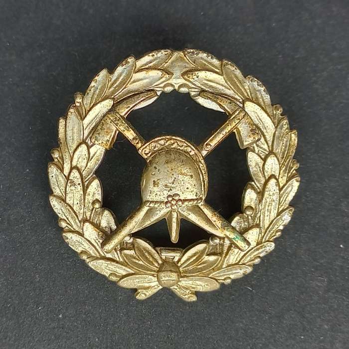 SA FIRE BRIGADE CAP BADGE