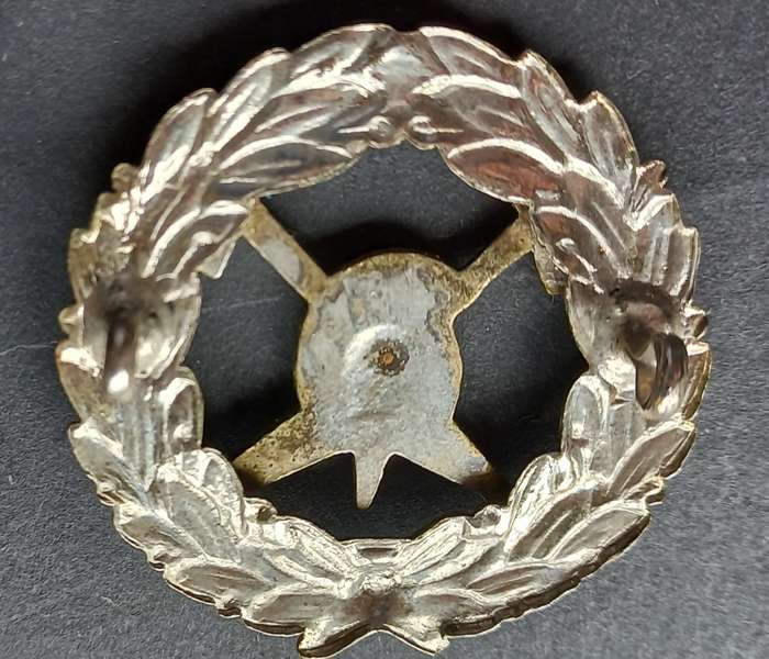 SA FIRE BRIGADE CAP BADGE