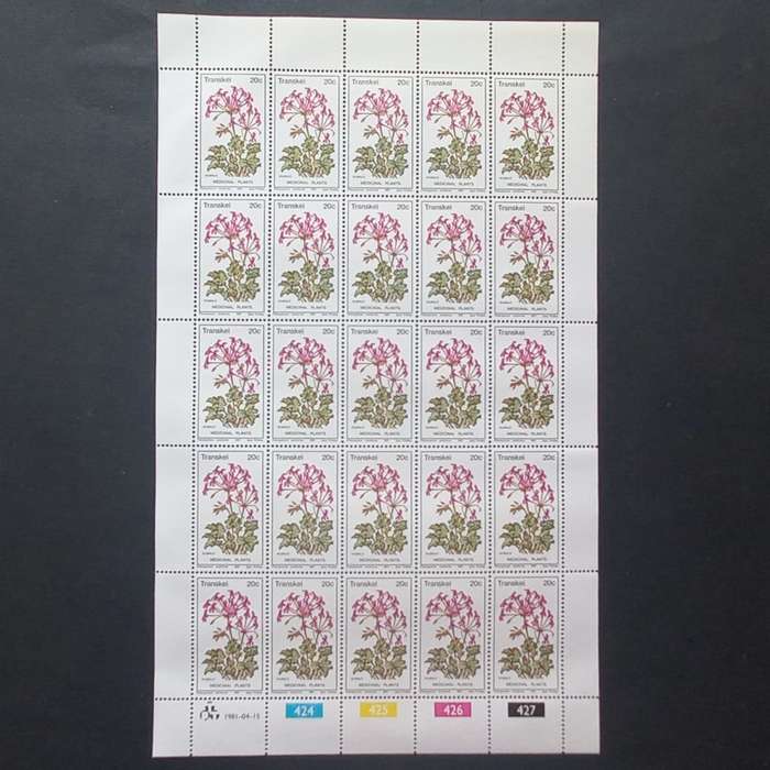 Transkei - 1981 Medicinal Plants - Full Set of Full Sheets of 25 - Unused