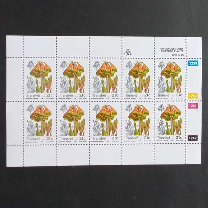 Transkei - 1990 Indigenous Flora - Full Set of Sheetlets of 10 - MNH