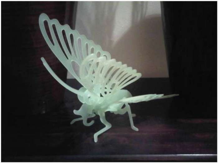 GLOW IN THE DARK BUTTERFLY BUILDING FOR HOURS OF FUN