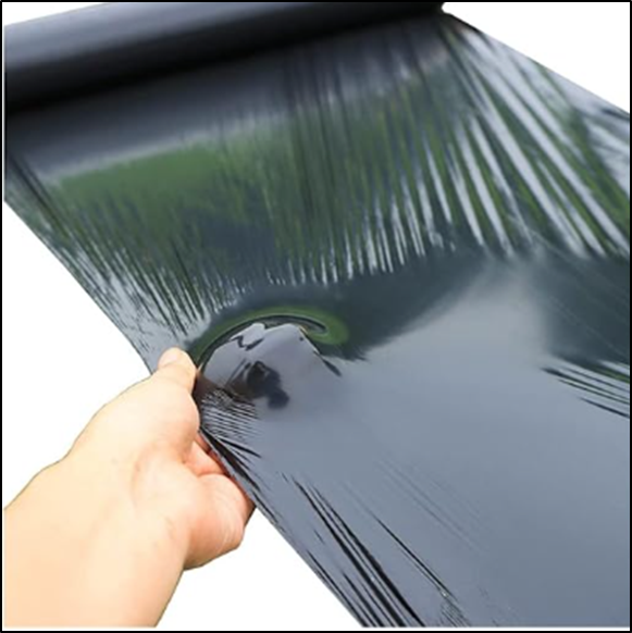 Open land soil protection:  Black plastic film mulch film