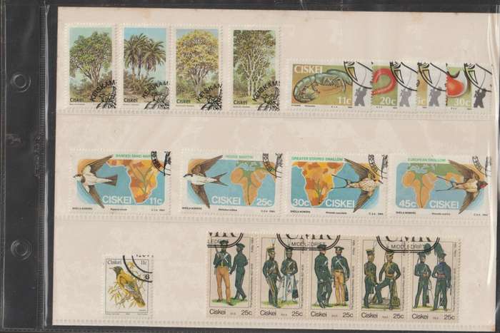 Ciskei 1984 Year Pack CV R180+ (Canceled)