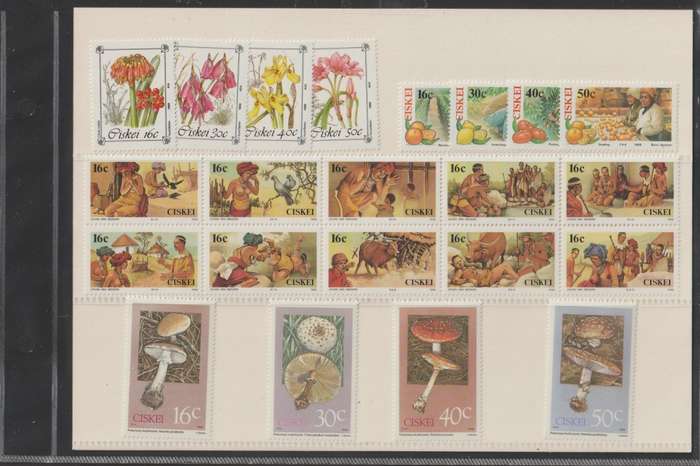 Ciskei 1988 UMM Year Pack CV R300+
