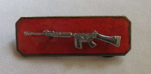 SA ARMY SHARPSHOOTERS QUALIFICATION BREAST BADGE- 2 PIECE- 2 PINS