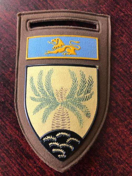 4 SA INFANTRY BATTALION TUPPER FLASH- ONE PIN