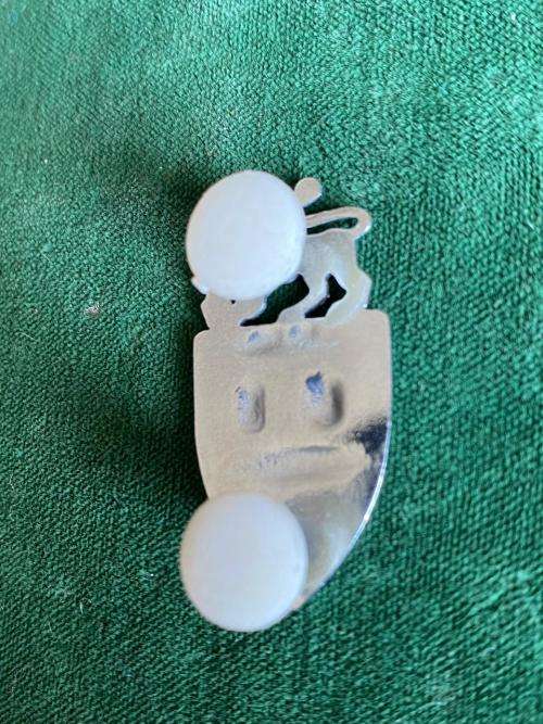 JOHANNESBURG REGIMENT,CHROME COLLAR BADGE-WORN POST 1976- 2 PINS