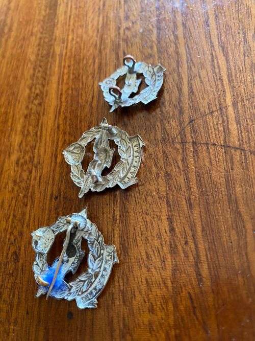 SAAF COLLAR BADGES-3 VARIATIONS 1X BRONZE,1X BRASS AND ONE WHITE METAL-LUGS COMPLETE