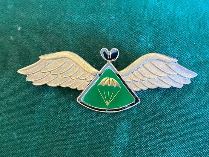 LESOTHO DEFENCE FORCE BASIC PARACHUTE WING-NUMBERED 082-GILDING METAL WINGS WITH GREEN ENAMEL CENTRE