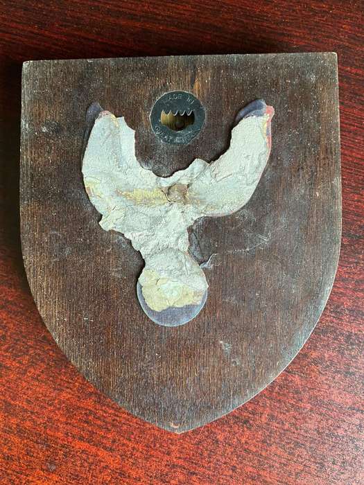 ROYAL AIR FORCE STAION LINTON-ON COURSE PLAQUE-PRESENTED TO SAAF CFS ON 2 OCT 1996