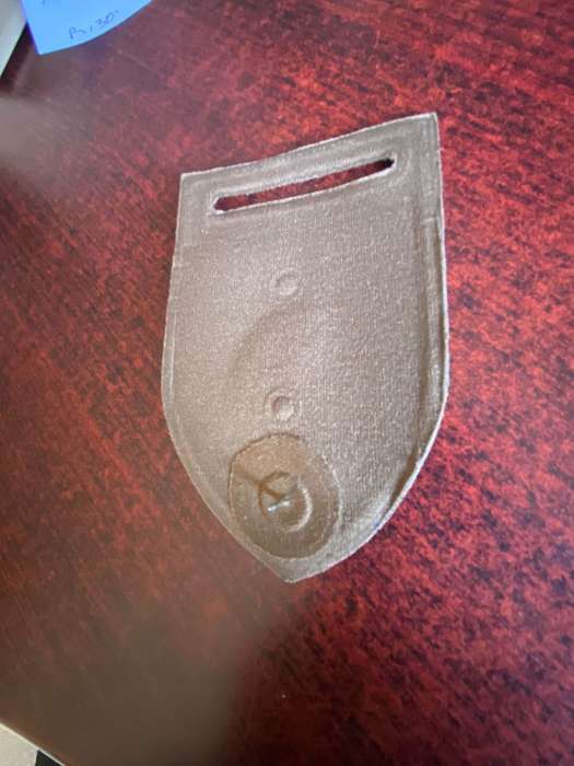 SA ARMOUR F COY TUPPER FLASH-ONE PIN