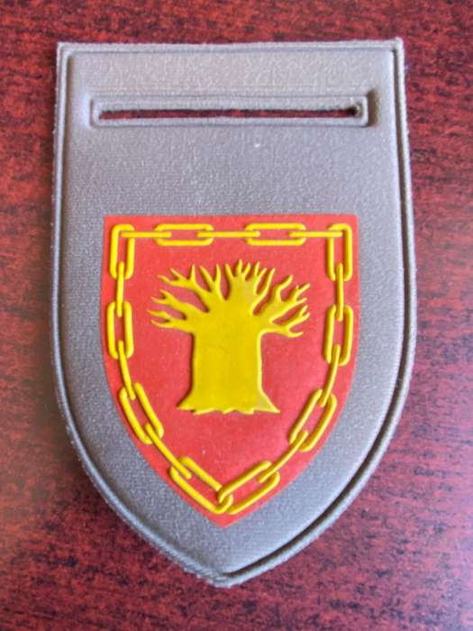 LIMPOPO ARMY SUPPORT BASE,TUPPER FLASH-ONE PIN