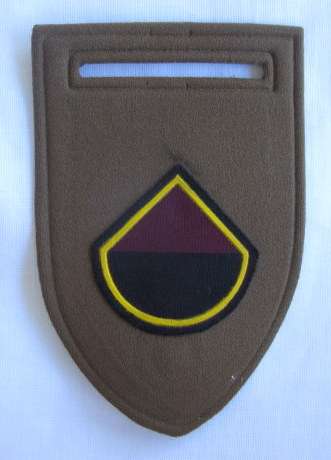 44 PARA BRIGADE DELTA COMPANY FLASH - ORIGINAL - ONE PIN