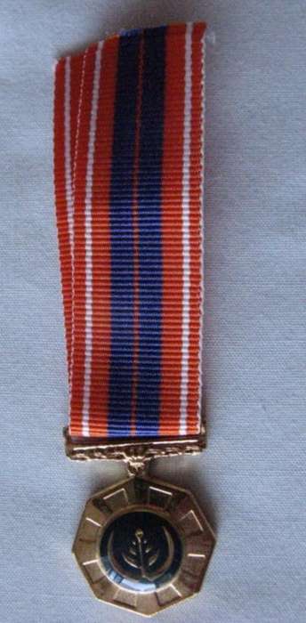MINIATURE PRO PATRIA MEDAL - RAISED EPOXY - BRIGHT FINISH