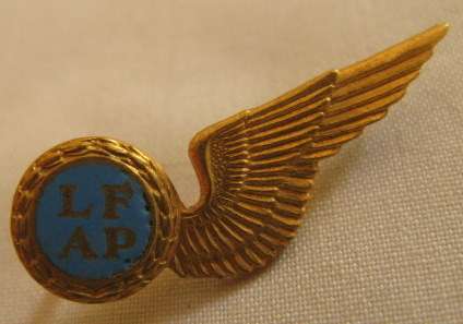 NO. 4493)  SAAF - AIR PHOTOGRAPHER (LUGFOTOGRAAF) MESS DRESS WING - 2 PINS.