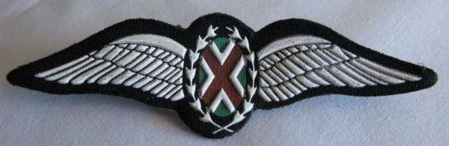 SAAF COMMANDO PILOT'S WING - RUBBERISED - EARLY 1980'S - 2 PINS