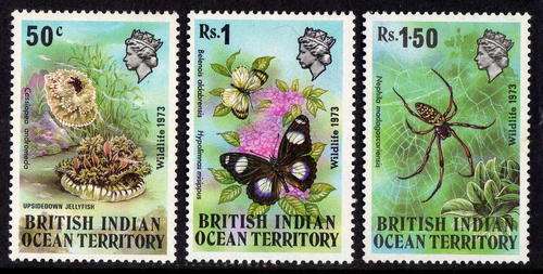 BRITISH INDIAN OCEAN  TERRITORY 1973 WILDLIFE SET OF 3 U.M.M. SG 53-55. CAT 11,75 POUNDS..