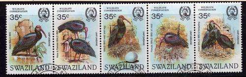 SWAZILAND 1984 BALD IBIS STRIP OF 5 VERY FINE USED. SG 448-52. CAT 13,50 POUNDS.