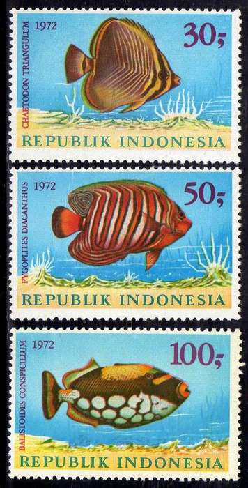 INDONESIA 1972 FISH 2ND SERIES SET OF 3 UMM. SG 1318-20. CAT 35 POUNDS.