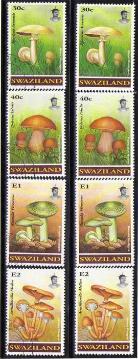 SWAZILAND 1994 "FUNGI" SET OF 4 UMM + SET OF 4 VFU. SG 638-41. CAT 13,50 POUNDS.