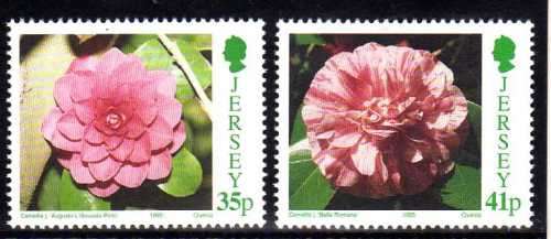 JERSEY 1995 "CAMELIAS" SET OF 5 UMM. SG 693-97. CAT 4,55 POUNDS.
