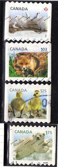 CANADA 2011 "YOUNG WILD LIFE" ORIGINAL SET OF 4 VFU. SG 2704-2707. CAT 9 POUNDS.