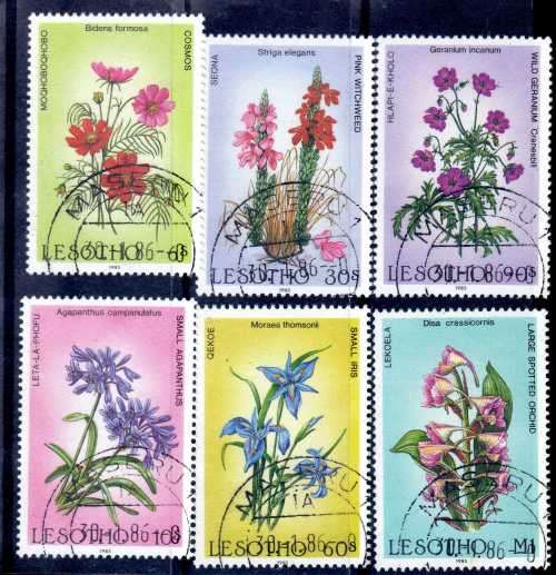 LESOTHO 1985 "WILD FLOWERS" SET OF 6 VFU. SG 661-666. CAT 10 POUNDS.