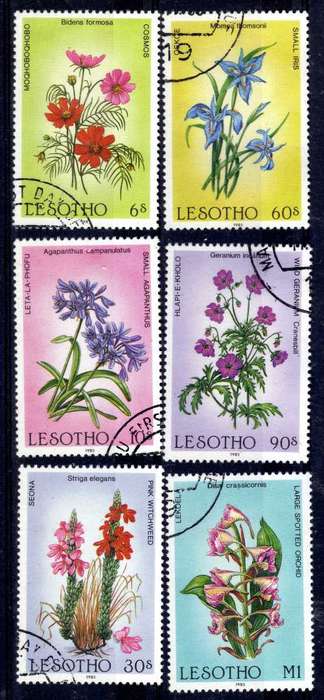LESOTHO 1985 "WILD FLOWERS" SET OF 6 VFU. SG 661-666. CAT 10 POUNDS.