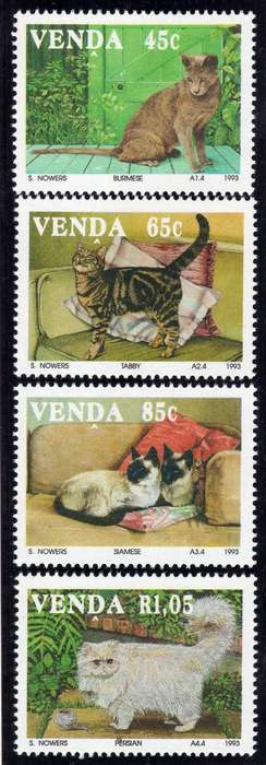 VENDA 1993 DOMESTIC CATS SET OF 4 UMM. SACC 250-253. CAT R85. (SACC 2023-25)